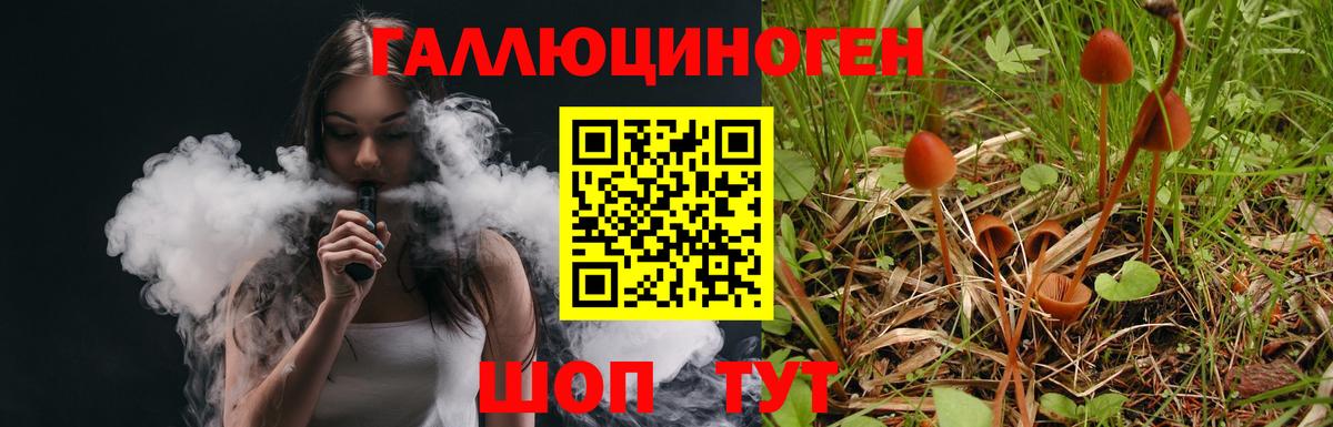 Галлюциногенные грибы мицелий Владивосток
